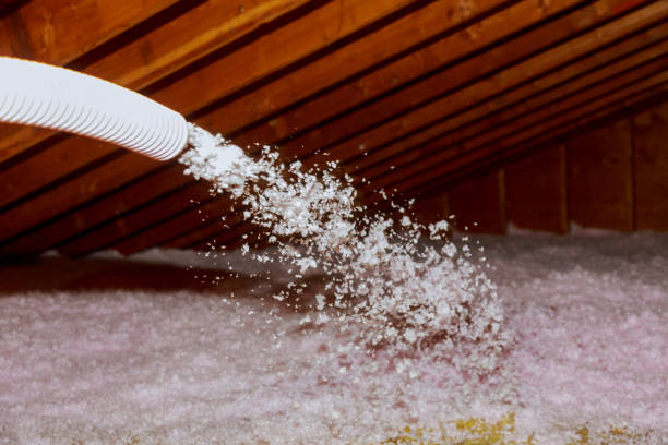 Best Residential Insulation in Earlham, IA