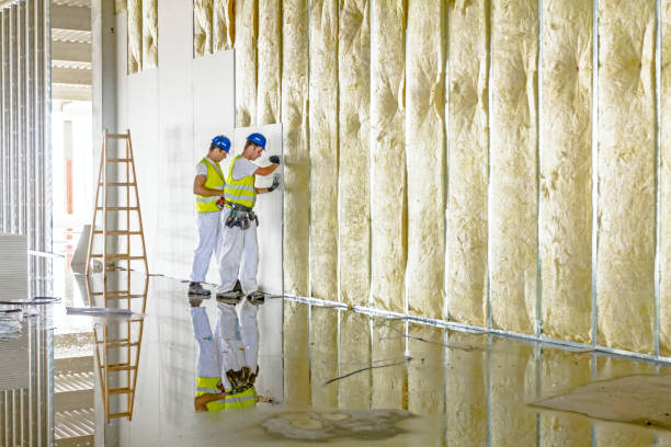 Best Geographic-Specific Insulation Services in Earlham, IA
